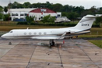 La Roche Spotters. Click to see full size photo