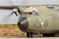 David Manuel Tobarra Ruiz - Spotters Murcia. Click to see full size photo