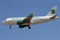 ©Alfonso Solís - Asociación Canary Islands Spotting. Click to see full size photo ©Alfonso Solís - Asociación Canary Islands Spotting. Click to see full size photo