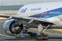 ©Adolfo Bento - Gran Canaria Spotters. Click to see full size photo ©Adolfo Bento - Gran Canaria Spotters. Click to see full size photo