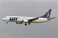 ©Saimon J Rodriguez - Canary Islands Spotting. Click to see full size photo ©Saimon J Rodriguez - Canary Islands Spotting. Click to see full size photo