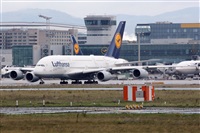 Adrin Alonso Lemes - Lanzarote Spotters. Click to see full size photo
