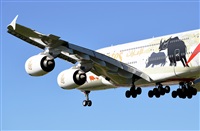 Adolfmalet-Spotters Barcelona-El Prat. Click to see full size photo