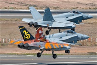 ©J. Victor Vega-Gran Canaria Spotters. Click to see full size photo ©J. Victor Vega-Gran Canaria Spotters. Click to see full size photo