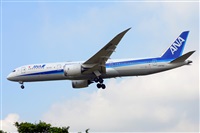 Miguel A. gueda Rguez.  (CANARY ISLANDS SPOTTING). Click to see full size photo