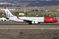 Alfonso Sols - Asociacin Canary Islands Spotting. Haz click para ampliar