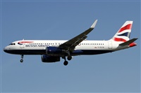 Alfonso Sols - Asociacin Canary Islands Spotting. Click to see full size photo