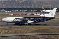 ©Alfonso Solís - Asociación Canary Islands Spotting. Click to see full size photo ©Alfonso Solís - Asociación Canary Islands Spotting. Click to see full size photo