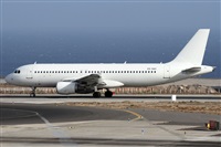 Alfonso Sols - Asociacin Canary Islands Spotting. Haz click para ampliar