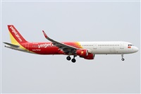 ©Alfonso Solís - Asociación Canary Islands Spotting. Click to see full size photo ©Alfonso Solís - Asociación Canary Islands Spotting. Click to see full size photo