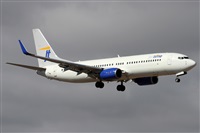 ©Alfonso Solís - Asociación Canary Islands Spotting. Click to see full size photo ©Alfonso Solís - Asociación Canary Islands Spotting. Click to see full size photo