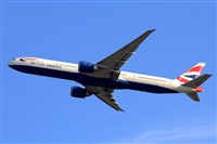 Miguel A. gueda Rguez.  (CANARY ISLANDS SPOTTING). Click to see full size photo