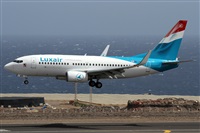 ©Alfonso Solís - Asociación Canary Islands Spotting. Click to see full size photo ©Alfonso Solís - Asociación Canary Islands Spotting. Click to see full size photo