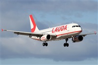 Alfonso Sols - Asociacin Canary Islands Spotting. Haz click para ampliar