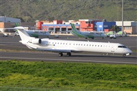 Miguel A. gueda Rguez.  (CANARY ISLANDS SPOTTING). Haz click para ampliar