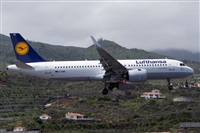 Luis Rguez - La Palma Spotting. Click to see full size photo