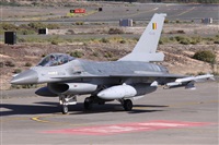 Alfonso Sols - Asociacin Canary Islands Spotting. Haz click para ampliar
