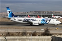 ©Alfonso Solís - Asociación Canary Islands Spotting. Click to see full size photo ©Alfonso Solís - Asociación Canary Islands Spotting. Click to see full size photo
