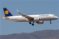 Adolfo Bento - Gran Canaria Spotters. Click to see full size photo