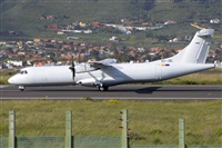 Miguel A. gueda Rguez.  (CANARY ISLANDS SPOTTING). Haz click para ampliar