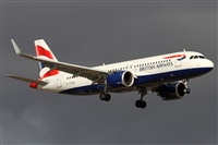©Alfonso Solís - Asociación Canary Islands Spotting. Click to see full size photo ©Alfonso Solís - Asociación Canary Islands Spotting. Click to see full size photo