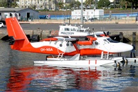 Miguel A. gueda Rguez.  (CANARY ISLANDS SPOTTING). Haz click para ampliar