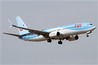 ©Alfonso Solís - Asociación Canary Islands Spotting. Click to see full size photo ©Alfonso Solís - Asociación Canary Islands Spotting. Click to see full size photo