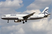 ©Alfonso Solís - Asociación Canary Islands Spotting. Click to see full size photo ©Alfonso Solís - Asociación Canary Islands Spotting. Click to see full size photo
