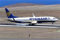 Miguel A. gueda Rguez.  (CANARY ISLANDS SPOTTING). Click to see full size photo