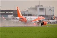 Miguel A. gueda Rguez.  (CANARY ISLANDS SPOTTING). Click to see full size photo