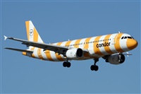 Alfonso Sols - Asociacin Canary Islands Spotting. Haz click para ampliar