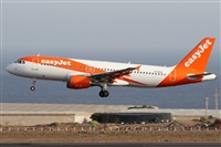 Alfonso Sols - Asociacin Canary Islands Spotting. Click to see full size photo