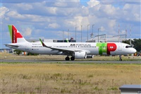 Miguel A. gueda Rguez.  (CANARY ISLANDS SPOTTING). Click to see full size photo