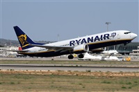 Alfonso Sols - Asociacin Canary Islands Spotting. Click to see full size photo