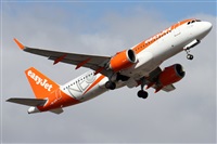 Alfonso Sols - Asociacin Canary Islands Spotting. Click to see full size photo