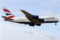 Alfonso Sols - Asociacin Canary Islands Spotting. Click to see full size photo