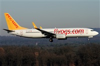 Daniel Schwinn. Click to see full size photo