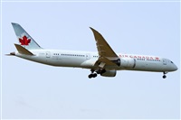 ©Alfonso Solís - Asociación Canary Islands Spotting. Click to see full size photo ©Alfonso Solís - Asociación Canary Islands Spotting. Click to see full size photo