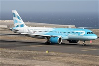 �Alfonso Sol�s - Asociaci�n Canary Islands Spotting. Click to see full size photo