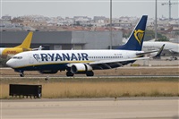 �Vicente Aguil�. Click to see full size photo