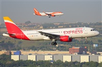 �Miguel A. �gueda Rguez.  (CANARY ISLANDS SPOTTING). Click to see full size photo