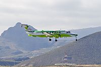 Javier de la Cruz - CANARY ISLANDS SPOTTING. Click to see full size photo