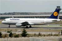 Marcos.A.S.A.Canary Islands Spotting. Haz click para ampliar