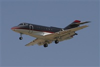 Jos Miguel Bernases - Noisy Spotters. Click to see full size photo