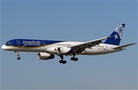 Rodrigo Carvalho - Noisy Spotters. Click to see full size photo