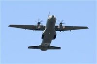 ALAMO AIRLINES.CANARY ISLANDS SPOTTING. Click to see full size photo