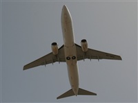 Adrin Alonso Lemes - Lanzarote Spotters. Click to see full size photo