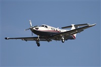 Jos Miguel Bernases - Noisy Spotters. Click to see full size photo