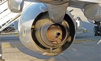 Pere  Escala - Spotters Barcelona-El Prat. Click to see full size photo