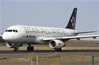 Ayoze Santana Mendez - Canary Islands Spotting. Click to see full size photo